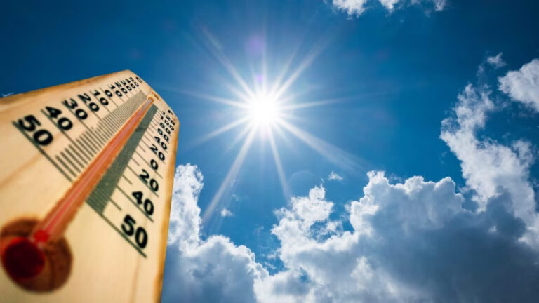 Scopri di più sull'articolo Colpo di sole e colpo di calore