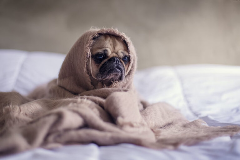 Scopri di più sull'articolo Sindrome da rientro: quando tornare dalle vacanze genera stress e ansie.