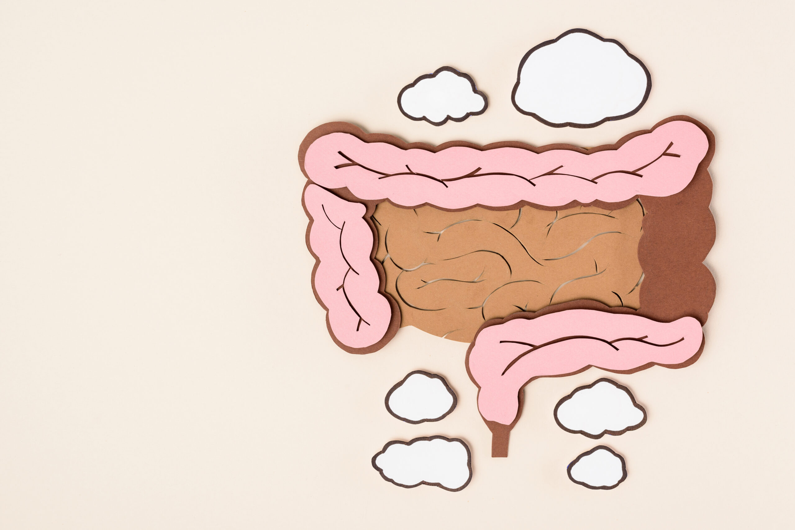 Al momento stai visualizzando Il microbiota intestinale da 0 a 3 anni